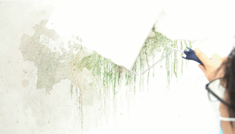 welcometo迎接惠临888集团(中国)有限公司